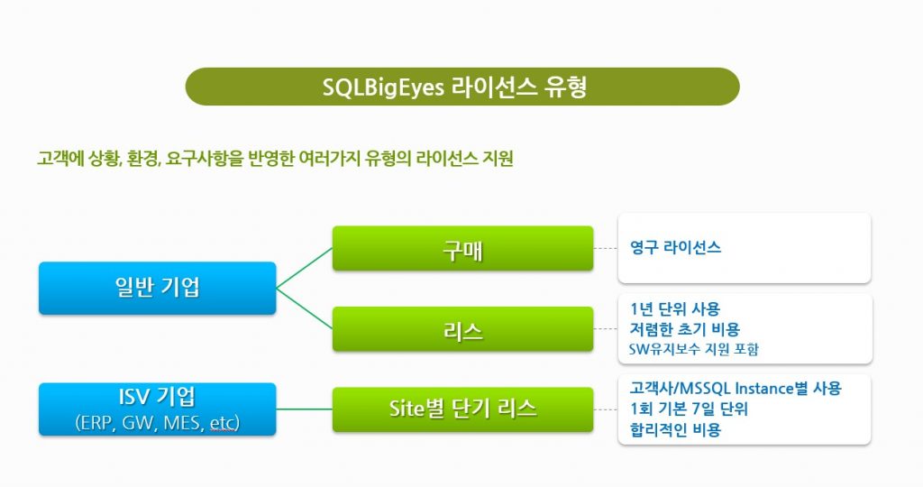 SQLBigEyes_License7